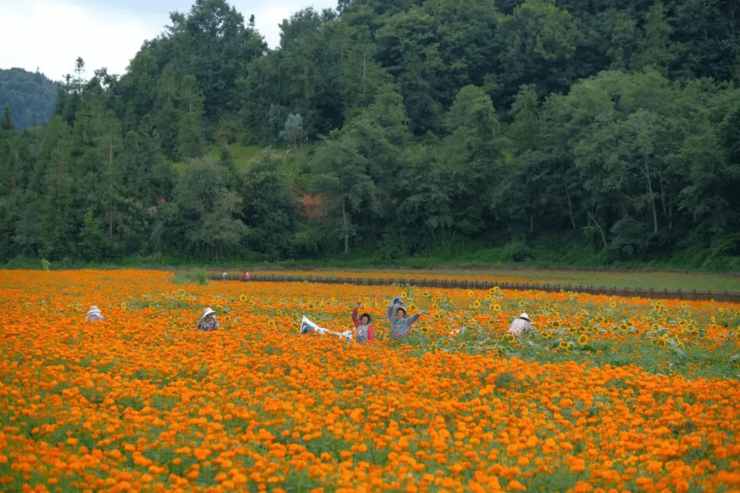 瓦力游戏| 首页 -瓦力出品,必属精品